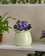 Self Watering Plant Pot, 6 Inch African Violet Pots Maintenance, Ceramic Self-Watering Planter for Indoor Plants - Ideal Flower Pot for Thriving Indoor Gardens, Green