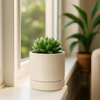 Planters Set of 4 Small Round Ceramic Pots in Oatmeal with Saucers