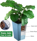 2 Pack Self Watering Planters 10.7" x 6.9" Planter for Indoor Plants Self Watering Violet Pots Plastic Flower Pots Square Planter with a Bag of Clay Pebbles, Blue