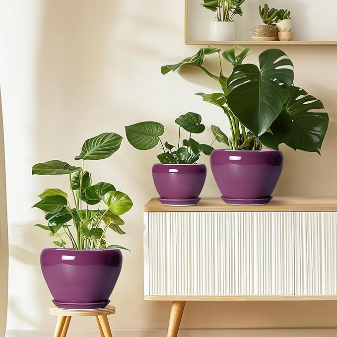 Ceramic Planter - 8 Inch Plant Pot Indoor with Drainage Hole and Saucer, Glaze Decorative Planter, Round Flower Pot, Plant Lover Gifts, Home Garden Office Decor, Purple
