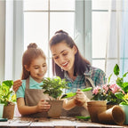 Biodegradable Peat Pots for Seedling - 120 Pack 3.15 inch Biodegradable Plant Seed Starters Kits with 30 Plant Labels, Garden Germination Nursery Pots for Flower Vegetable Seed Germination