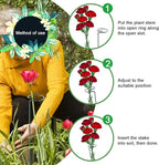 HiGift 10 Pack 24 inch Plant Stakes and Supports, Metal Flower Stakes for Potted Plant Indoor, Garden Stakes for Tall Plant Single Stem Flowers Amaryllis Tomatoes Peony Lily Rose (61 cm Long)