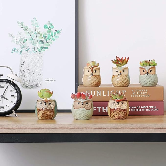 Planter Pots Mini Ceramic Owl Design, 12 Pack with Drainage Holes