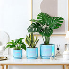 EFISPSS Ceramic Planter 4+5+6 Inch Ceramic Flower pots for Indoor Plants with Drainage,for Succulent Cactus,Garden Planters,Modern Decorative for Home Blue Pearl Glaze Plant Pots