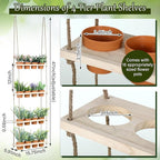 4 Tiered Window Plant Shelves Hanging Herb Planter Indoor Display with 16 Pcs Flower Pots Wood Window Plant Hanger for Grow Herbs Succulents Microgreens Seedling Organization