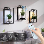 Shineled Wall Plant Holder, Indoor Plants Holders with Remote Grow Lights, Plant Shelves Hanging Planters, Framed Plants Holder for Living Room, 2 Pack