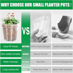 40 Pack 3.3 Inch Clear Nursery Pots for Plants, Sturdy Plastic Plant Pot for Planting Vegetables Flowers Seedlings, Transparent Seed Starter Pots with Drainage Holes, Gardening Gifts(40P-3.3"Clear)