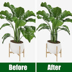 FEED GARDEN 8 Pack Plant Support Stakes, Peony Cages and Supports, Metal Garden Plant Stake(10" Wide x 24" High) Green Half Round Plant Support Rings for Outdoor Indoor Plants, Tomato, Hydrangea