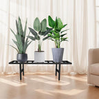 Plant Stand Indoor Outdoor, Heavy Duty Iron Pedestal Stands Metal Plant Stand for Indoor Outdoor, 1-Tier Sturdy Flower Stand Display Plant Shelf