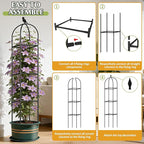 Square Tomato Cages for Garden, 6.2 FT Cucumber Trellis for Flowers, Grape, Pea, Rose, Bean, Rustproof Plastic Coated Metal Plant Support for Potted Plants Indoor Outdoor - 2PC Obelisk Trellis