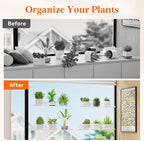 Lifewit Window Plant Floating Shelves 14.6x3.6, 4 Pack Acrylic Suction Cup Shelf, Window Sill Extender for Indoor Succulent Plants, Micro Greens, Seed Starter Pots, Herb Planters 37 x 9 cm/14.6x3.6