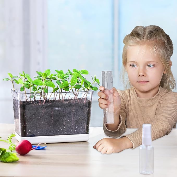 Self Watering Planters - 4 Pack Rectangular Clear Plant Pots with Drainage Holes for Indoor Plants