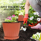 Plastic Flower Pots, 5 Pack 6 inch Indoor Plant Pots Planters for Outdoor Plants Flowers Garden Patio Home Nursery Decor Gifts,Large Succulent Pots with Drainage Tray Saucer & Hole Terracotta