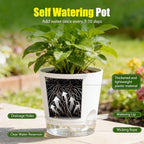 Plant Pots 4/5/5.5/6/6.5/7/8 Inch Self Watering Pots, 7 Pack Plastic Planters with Drainage Holes and Clear Saucers,Plastic Flower Pots,Nursery Planting Pot for Indoor Out Door Plants(White)