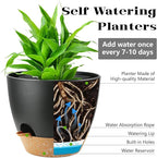 6-Pack Plant Pots with Drainage 6 Inch, Self Watering Pots for Indoor Plants, Planters for Indoor Outdoor Plants, Plastic Flower Pot, Planter for Indoor Outdoor (Black)