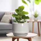 G EPGardening Ceramic Plant Pots - 9 Inch Ceramic Planters for Indoor Outdoor Plants, Modern Flower Pots with Drainage and Saucer, Round Planter, Garden Home Decor, Plant Lover Gifts, Light Grey