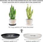 Plant Saucer, 7 Pack 8 10 12 14 15 Inch Durable Plastic Plant Trays for Pots, White & Black Round Plant Pot Saucers, Drip Tray for Indoor and Outdoor Garden (8", for 5 6 Inch Pot)