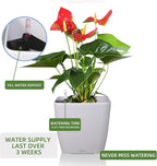 Dexceder 18x17 Self Watering Planter with Wheels Indoor Outdoor, Inner Mat Design, Thickened Large Floor Standing Flower Plant Pot with Water Level Indicator (White Matte)