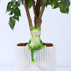 Miniature Frog Figurines Plant Decorations for Pots, Funny Outdoor Garden Decor Women Gifts Frog Statue Planter Hugger for Flower,Lawn,Yard Ornament,2.92"x1.12"x4.94