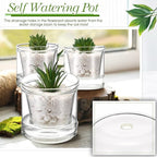 Baderke 2 Pcs 4 Inch Self Watering Pot for Indoor Plants Clear Glass Planter Small Plant Pot with Saucer Reservoir Drainage Holes Bottom Watering Pot for African Violet Orchid Flowers Houseplant