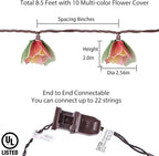 Decorative String Lights Plug in with 10 Incandescent Bulbs, Flower Garland Fairy Lights Connectable Weatherproof Outdoor Indoor for Wedding Garden Pergola Bedroom Porch Floral Home Decor (Multicolor)