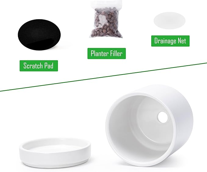 Planters: Set of 4 White Round Ceramic Pots with Saucers