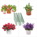 36Packs Plant Support Stake Half Round Plant Support for Indoor Plants, Stackable 3 Tier Garden Flower Support, Plant Rings for Tomato,Monstera, Peony, Hydrangea, Climbing Plants