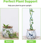 Indoor Plant Trellis for Potted Plants - Upgraded Metal Spiral Design for Climbing Plants, Durable Powder Coated Support for Small Houseplant Pots, Ideal for Indoor & Outdoor Use