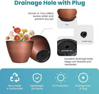 2 Pack Plastic Plant Pots with Drainage Holes, 8 inch Planter for Indoor Outdoor Plant, Garden Flower Pots for Aloe, Herbs, Cactus (Brushed Copper, 2pcs)