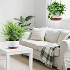 Hanging Planters for Indoor Plants, Set of 2 8/10 Inch Self-Watering Hanging Pots with Drainage Hole & Removable Water-Storage Tray II Screw-in Hooks