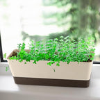 Window Box Planter with Tray, 12" Rectangle Plant Pot, Pack of 3 (Beige)