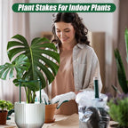 Uzoli 12 Pack Plant Support Stakes Sets - Versatile Plant Cages, Stackable 3 Tier Garden Flower Support，Plant Stakes for Indoor Outdoor Plants Tomato, Peony, Monstera, Hydrangea, Climbing Plants