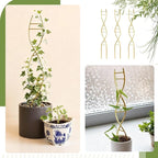 3 Pcs 15.75 Inch Indoor Plant Trellis for Potted Plants Small Climbing Plant Trellis for Pots with Unique DNA Spiral Design for Vine Plants, Easy Installation for Indoor Outdoor Use