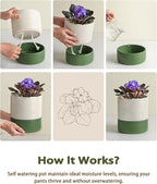 Self Watering Pots for Indoor Plants, 6 Inch Ceramic Self Watering Plant Pot, Planter Pot with Wick Rope and Drainage Hole for African Violet Succulent Herbs (White Matte)