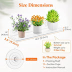 Lifewit Window Plant Floating Shelves 14.6x3.6, 4 Pack Acrylic Suction Cup Shelf, Window Sill Extender for Indoor Succulent Plants, Micro Greens, Seed Starter Pots, Herb Planters 37 x 9 cm/14.6x3.6