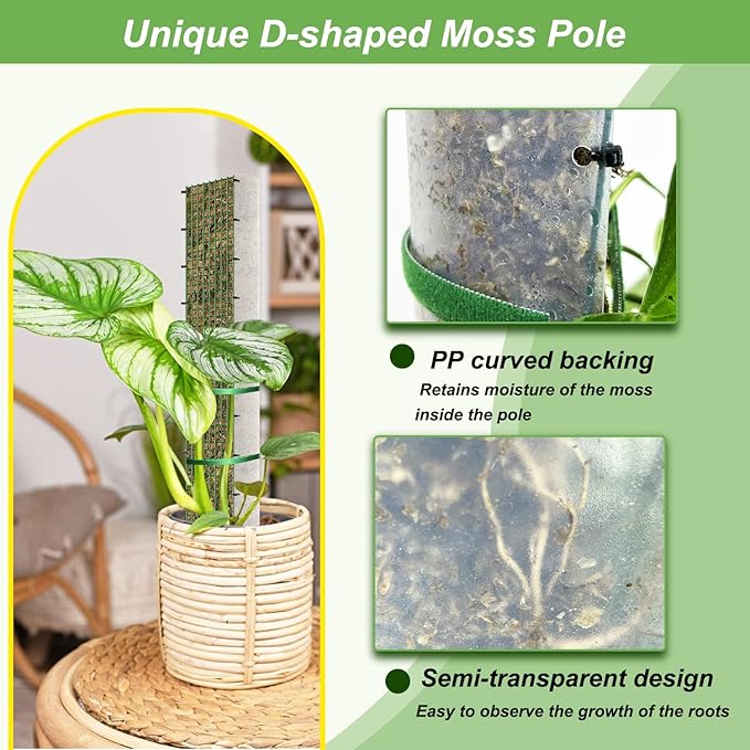 60"/40"/24" Metal Moss Pole, D Shape Sphagnum Moss Pole, Moss Poles for Climbing Plants, Monstera, Indoor Climbing Plants(4Pcs 40")