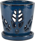 W&W Orchid Pot with Holes and Saucer for Repotting, Blue, 5.5 Inch
