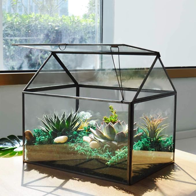 Terrarium Black House-Shaped Glass Planter with Swing Lid, Large