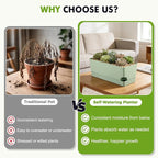 2 Pack Self Watering Pots for Indoor Plants 17 Inches Window Boxes Planters Rectangular Flower Pots Rectangle Herb Pots Large Plant Pots with Drainage Holes and Saucers Windowsill Planter, Green