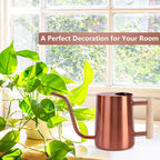 Watering Can Indoor Plants, 35oz Small Stainless Steel Metal Watering Can Modern Decorative Watering Pot with Long Spout for Indoor House Plant Bonsai Garden Flowers (Copper)