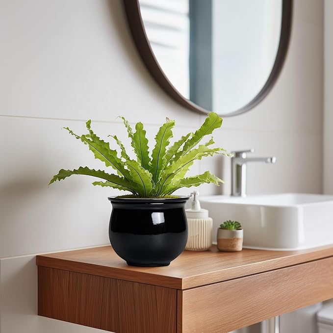 Ceramic African Violet Self Watering Pots, 6 Inch Self Watering Plant Pot with Absorbent Inner Pot, Flower Pots for Indoor Plants, Round Ceramic Planter, Home Decor, Plant Lover Gifts, Black