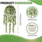 Artificial Plants Greenery, String of Pearls, Green Plastic, 15 Inch