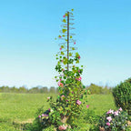 Trellis for Climbing Plants Outdoor, 2 Pack 73inch Tall Plants Trellis Support Metal Garden Trellis for Vegetables Flowers Plants Vine Support
