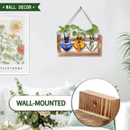 Terrarium Set with Heart Shaped Glass Vases and Wood Stand, 3 Pieces