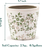 Ceramic Planter with Drainage Hole, Plastic Tray & Mesh, 6 Inch - Indoor/Outdoor Flower Pot for Orchids, Succulents, Green Floral Modern Farmhouse Décor for Home,Office and Garden, Ideal Gift