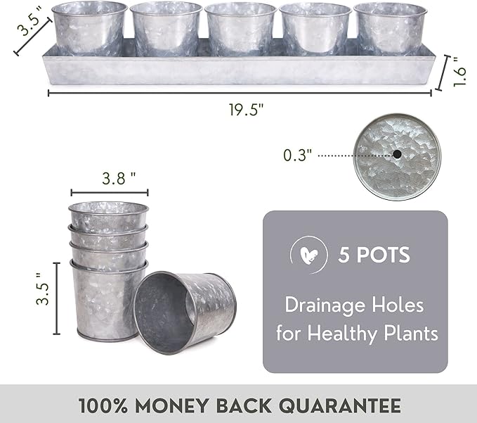 Galvanized Steel Herb Planter Set of 5 with Catch Tray