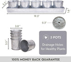 Galvanized Steel Herb Planter Set of 5 with Catch Tray