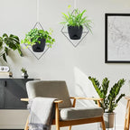 Hanging Planters for Indoor Plants, 2 Set Self Watering Hanging Flower Pots, Modern Hanging Plant Baskets with Metal Plant Holder & 6.5 Inch Plastic Pots for Garden Home Decor (Black)