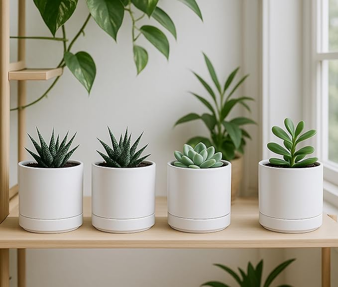 Planters: Set of 4 White Round Ceramic Pots with Saucers