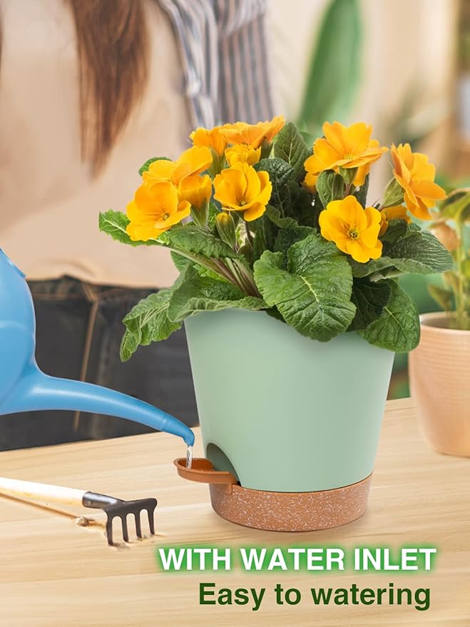 Aulock 6in Self Watering Pots for Indoor Plants - 3pcs Bottom Watering African Violet Planters with Drainage, Plastic Houseplant Flower Pots for Snake Plant Succulent Garden Live Plants